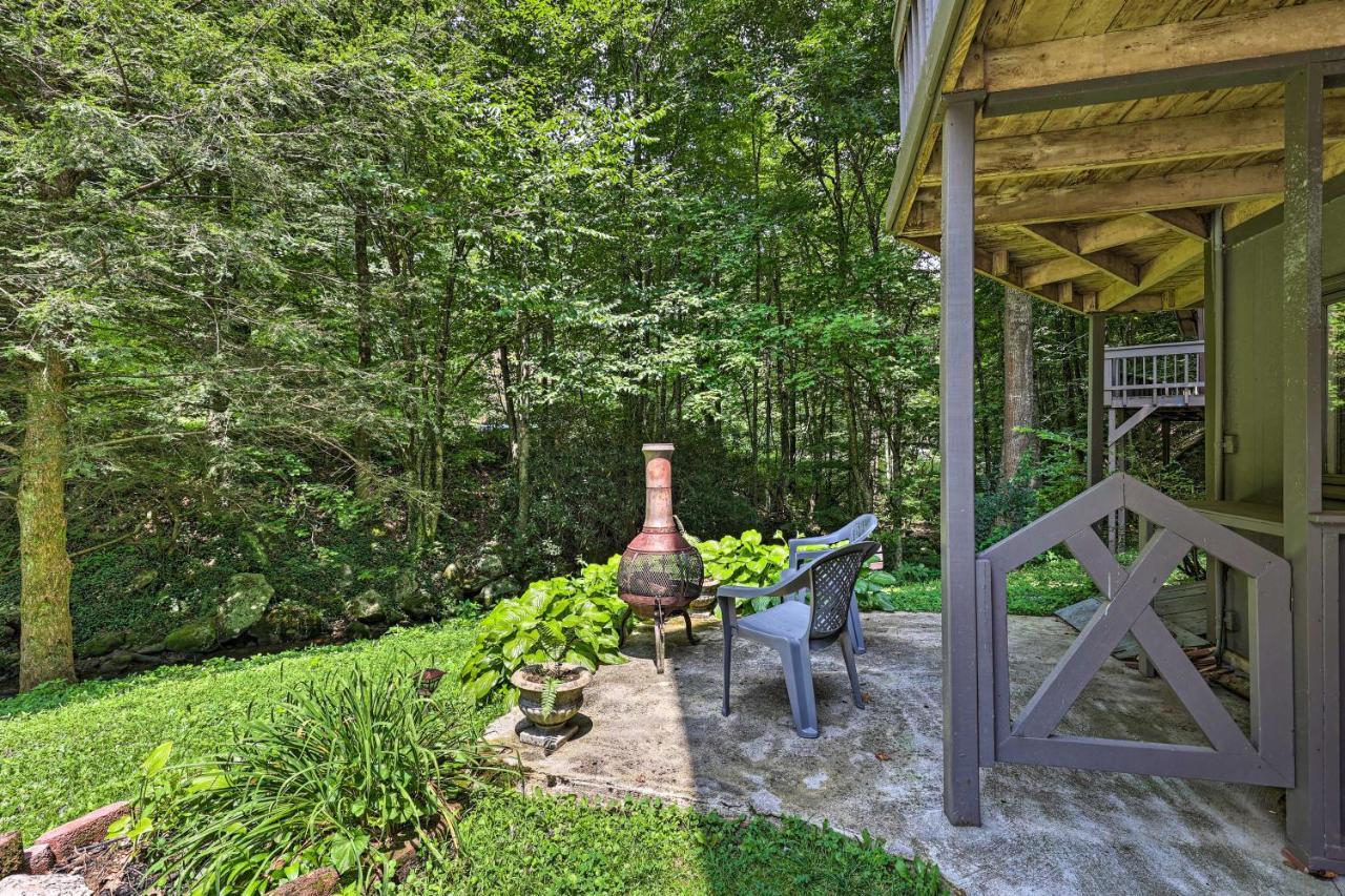 Creekside Roan Mountain Cabin Walk To Trails Exterior photo